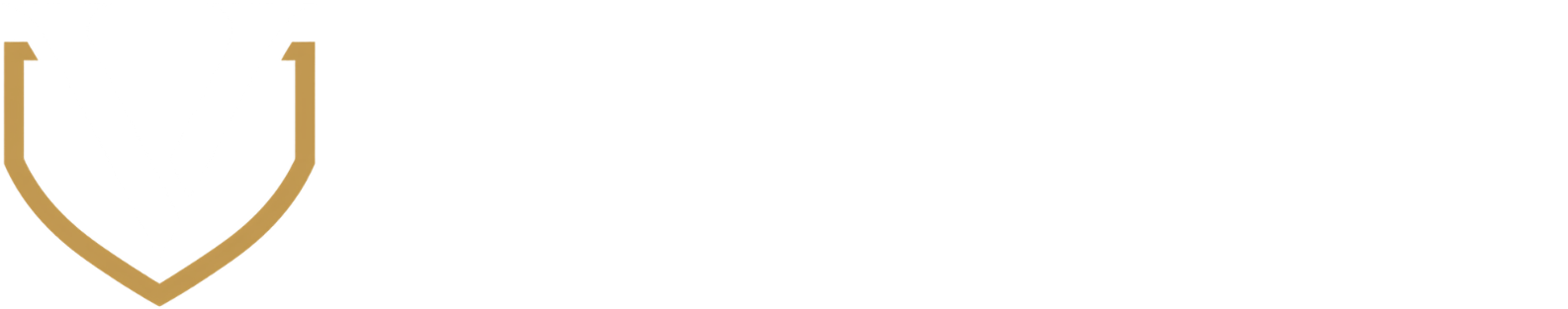 Viscontea Holding